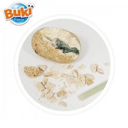 BUKI RECOGNITION DINO EGS -... - BKD6O - view 2