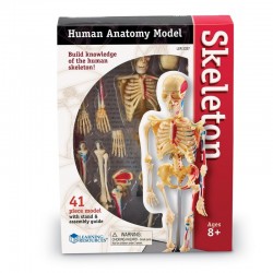 RESURSE DE ÎNVĂȚARE SCHELETUL UMAN, 23 CM - 8112100012 - 8112100012 - view 1