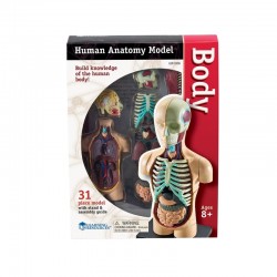 MINI TORSO RESURSE DE ÎNVĂȚARE, 11 CM - 6635100324 - 6635100324 - view 1