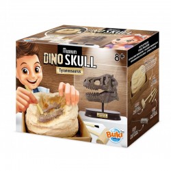 CARVE-TE SKULL DINOZAUR BUKI FRANCE - TYRANNOSAUR - BK2130 - BK2130 - view 1