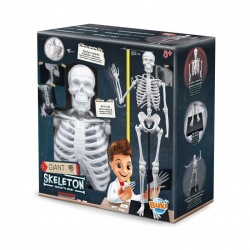 KIT EDUCAȚIONAL BUKI FRANCE - SCHELET UMAN, 85 CM - BK2181 - BK2181 - view 1