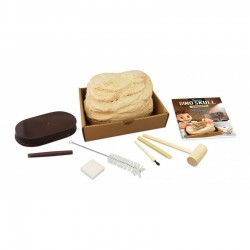 CARVE-TE SKULL DINOZAUR... - BK2130 - view 2