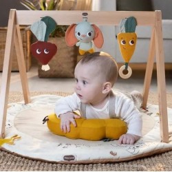 GIMNASTICĂ ACTIVĂ ECO TINY LOVE LUXE GYMINI DIN SERIA GRĂDINA AVENTURIILOR, CU SALOASĂ ROTUNDĂ CU DIAMETRU DE 90 CM, ARC DIN LEM - TL.0127.001 - view 1