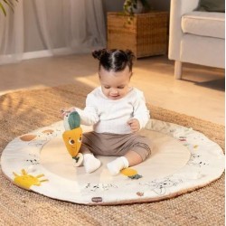 Еко Активна гимнастика Tiny Love Luxe Gymini от серията Garden of Adventures, с кръгло килимче с диаметър 90 см, дървена арка, 3 играчки и възглавница за игра по корем, 0м+ - TL.0127.001 - view 5
                  