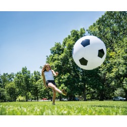 MINGE DE FOTBAL CU POMPĂ TRELINES - 76CM. - TR847110 - TR847110 - view 1
