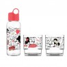 SET STICLE DE CĂLĂTORIE CU 2 PAHAE DE STICL, ROȘU - 6015180166