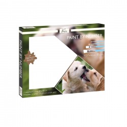 KIT PICTURA NASSAU DUPA NUMERE CAINE, CU 24 VOPSELE SI 4 PERIE - 6605330152 - 6605330152 - view 1