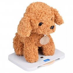 Детска Ветеринарна Клиника Играчка GINGER HOME – Дървен Ветеринарен Център с Аксесоари и Плюшено Куче, 89×57×30 см - W10L016 - view 6
                  